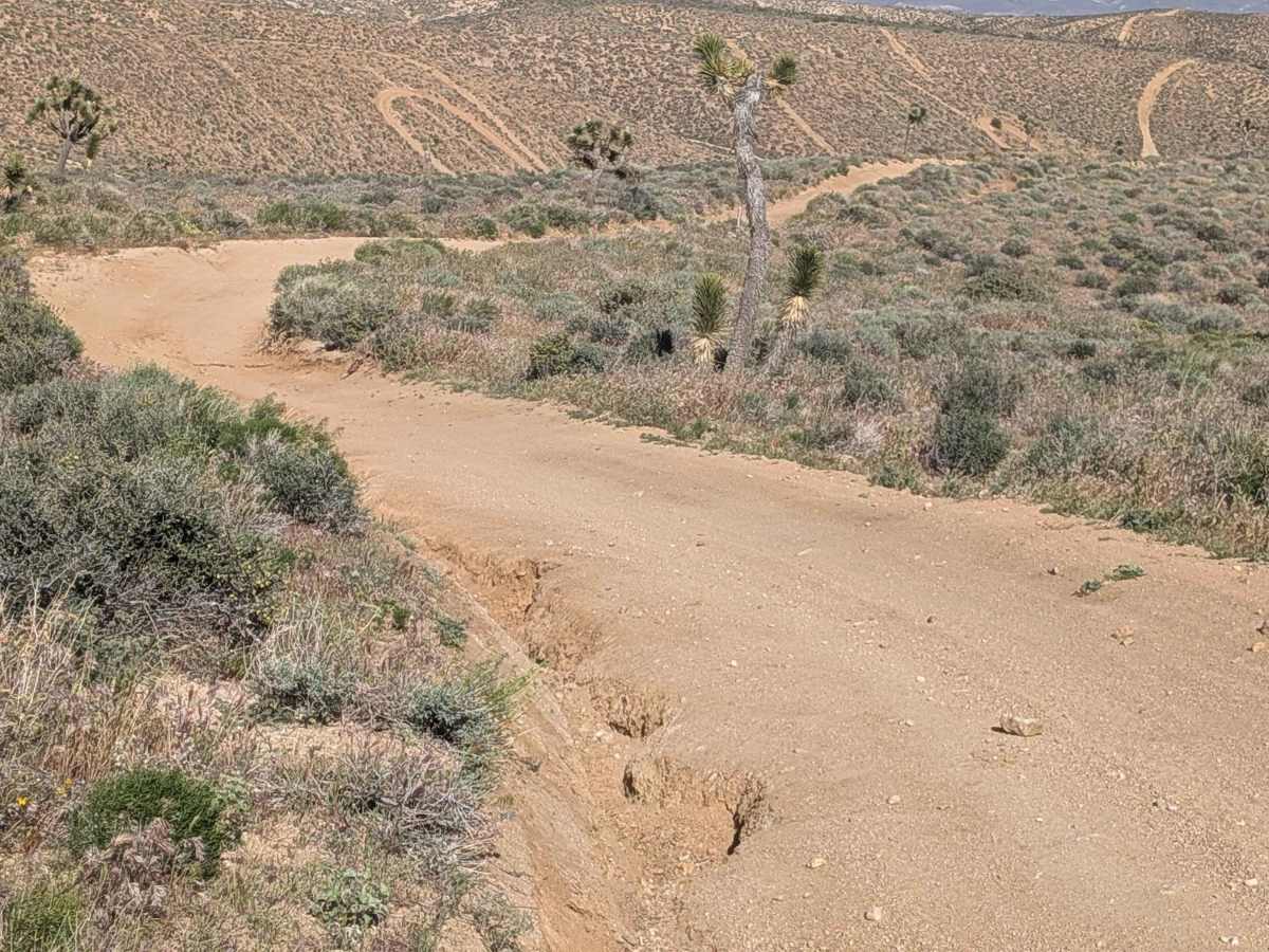 BLM SC186 photo 4