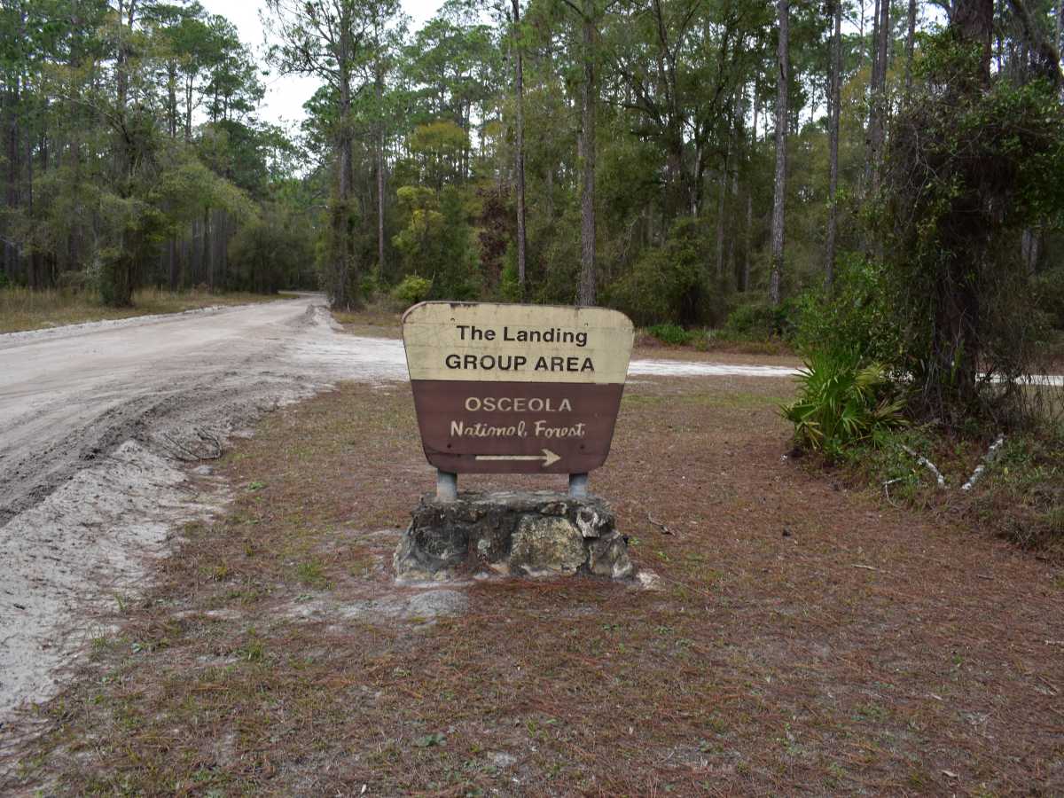 FR 732 trail photo