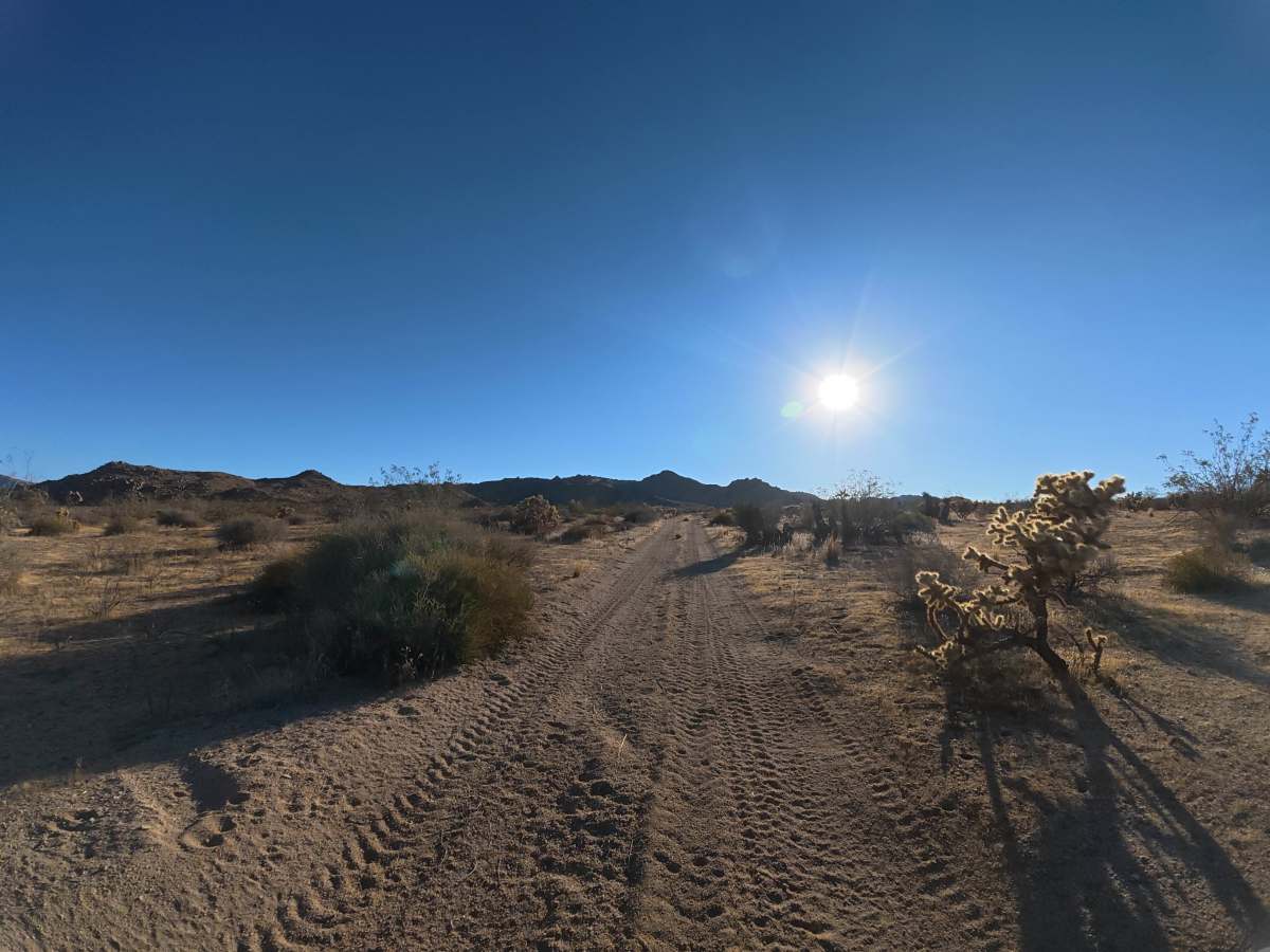 BLM SV2614 photo 2
