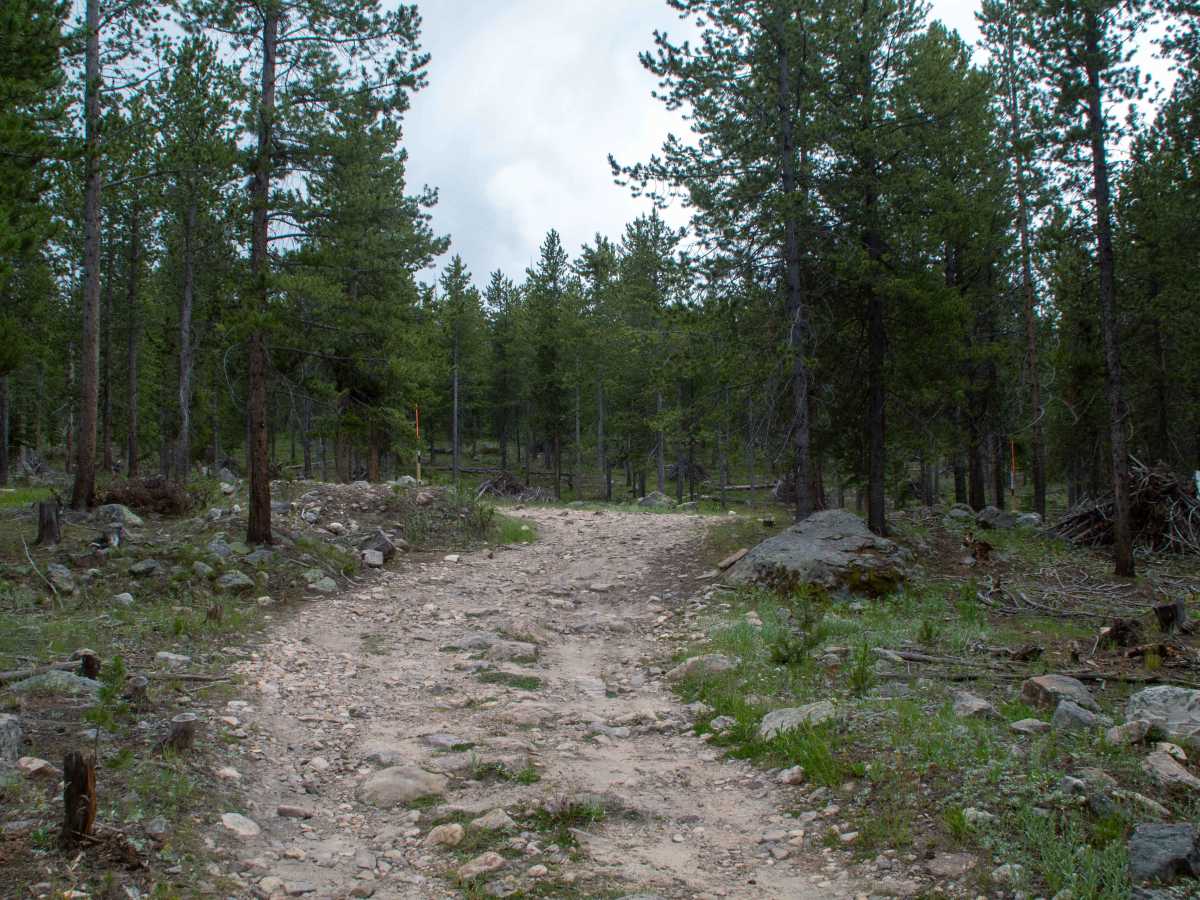 Alexander Loop - FR80940 trail photo
