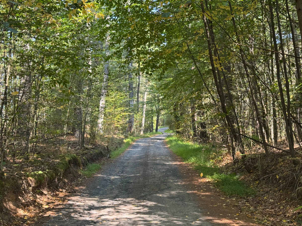 Mongaup River Road photo 6