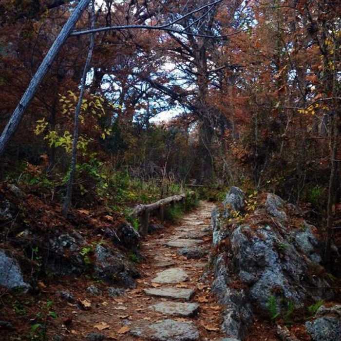 Near Hamilton Pool Loop