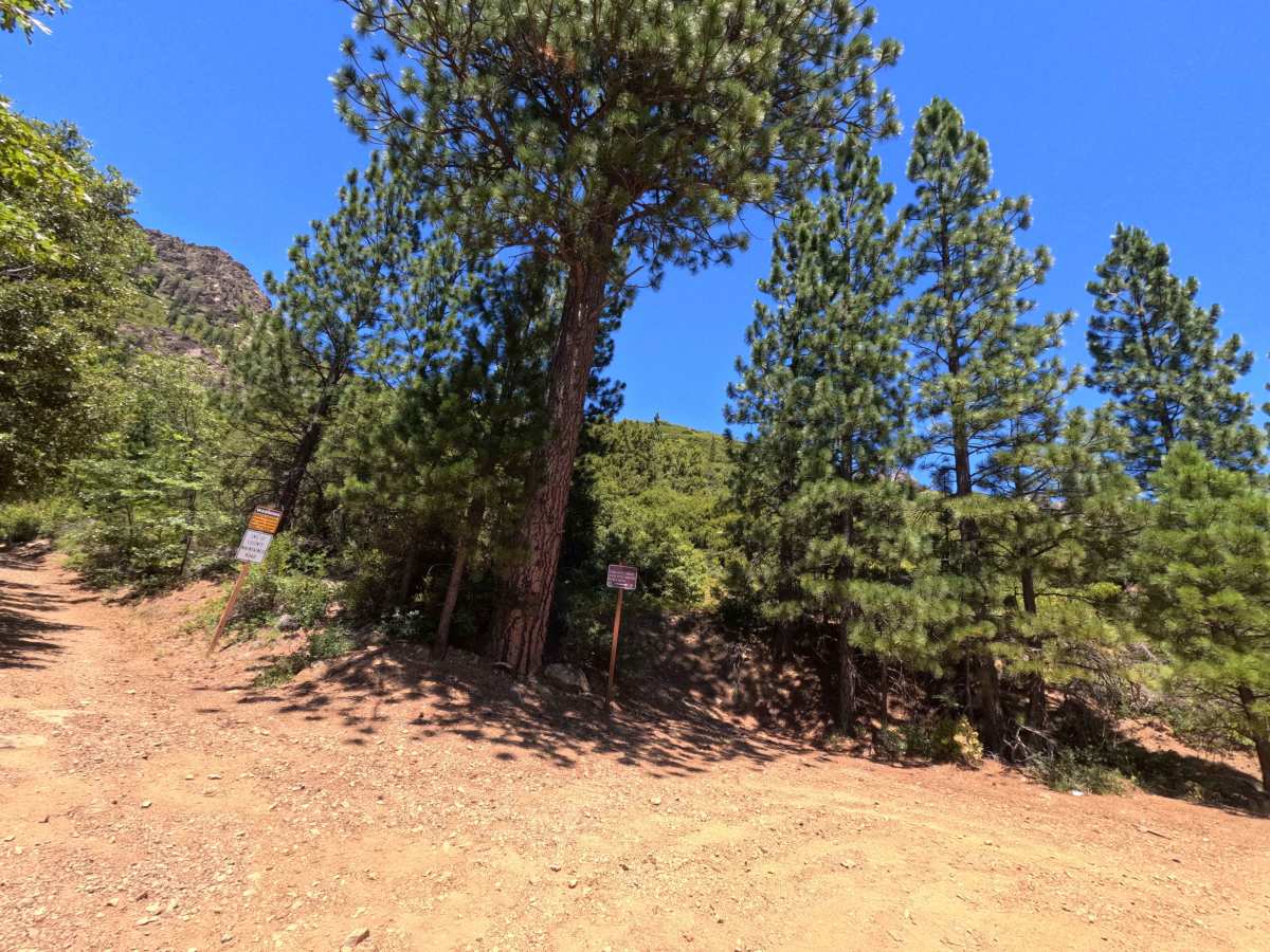 Butcher Ranch Road - FS 12E07 photo 2