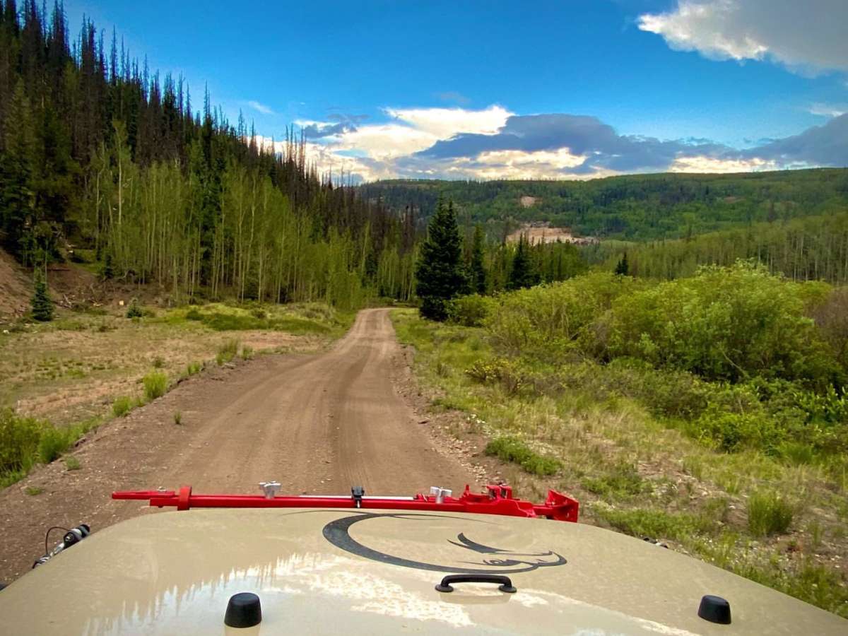 East Willow Creek Road - NF 502 photo 6