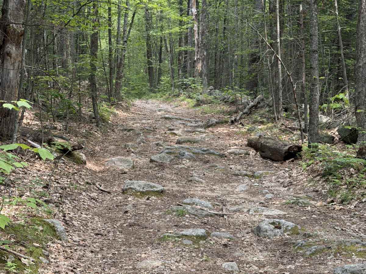 Cunningham Pond Road photo 4