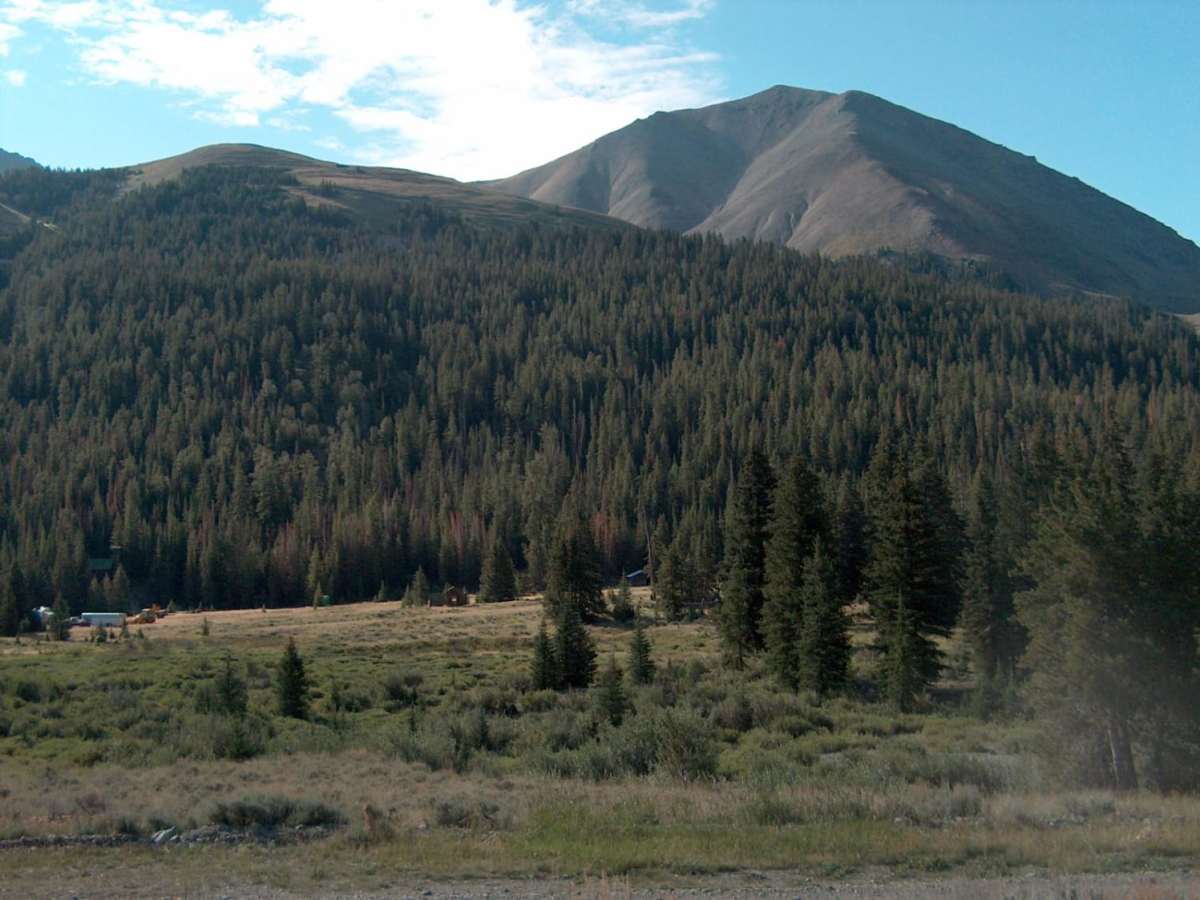 Kirwin photo 5