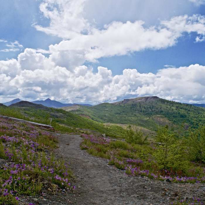 Near Harry's Ridge via Johnston Ridge Observatory