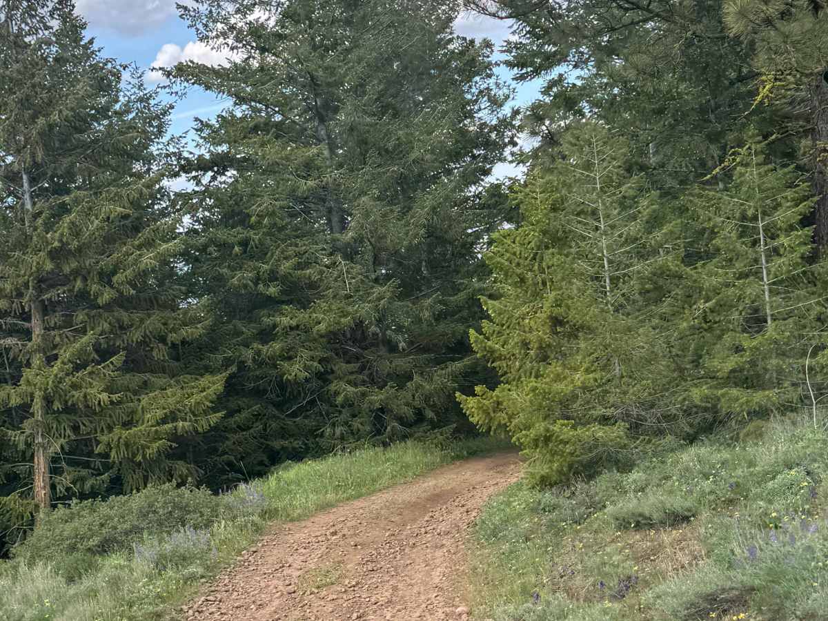 Lookout Road photo 4