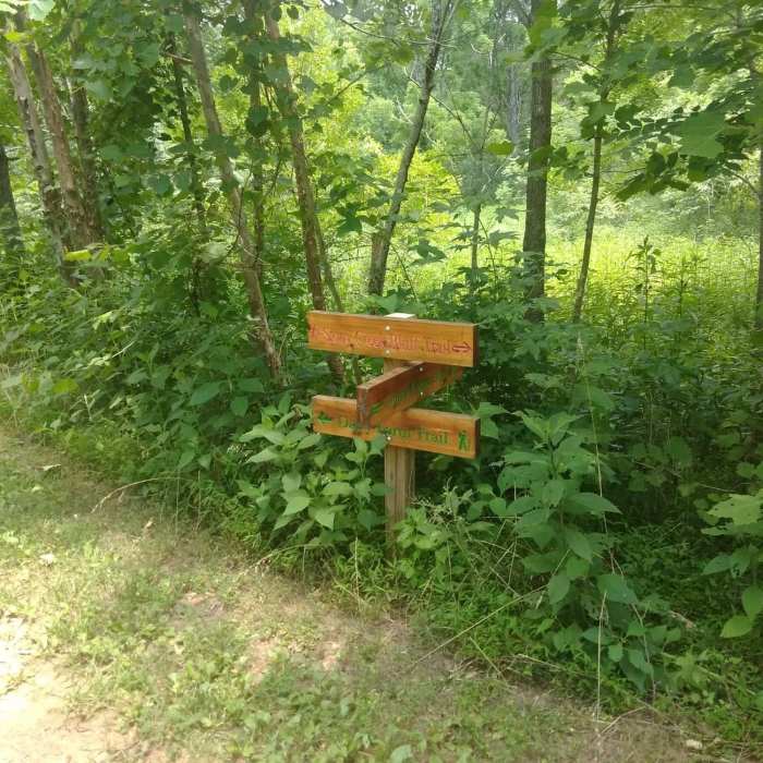 Decision time Near Cedar Grove Trail