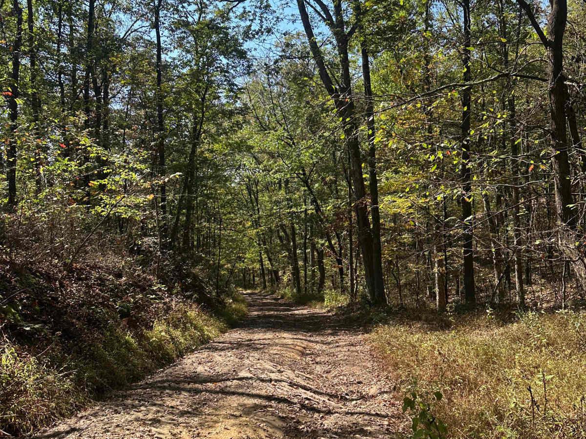 Oldtown Connector  trail photo