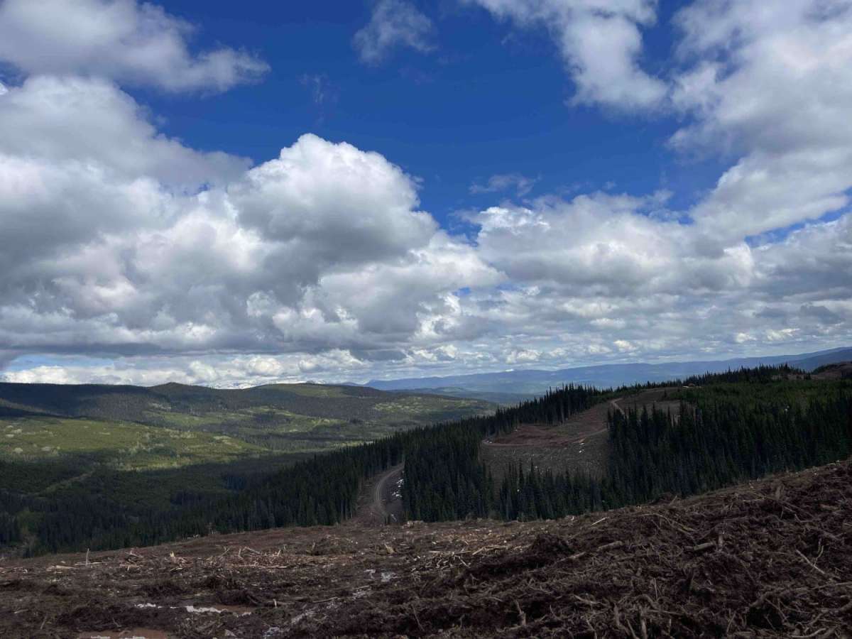 Telkwa 116 Road photo 4