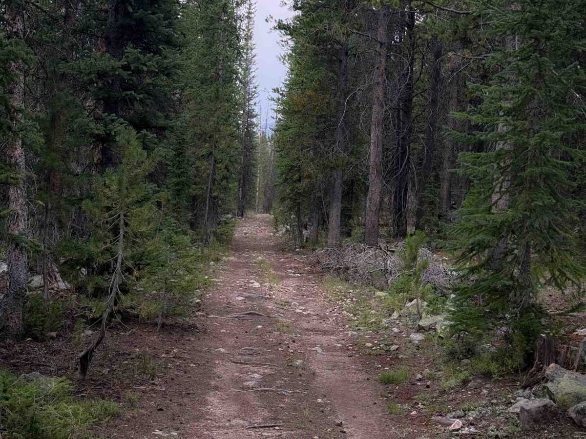 Broadhead Loop - FS 306A  photo 5