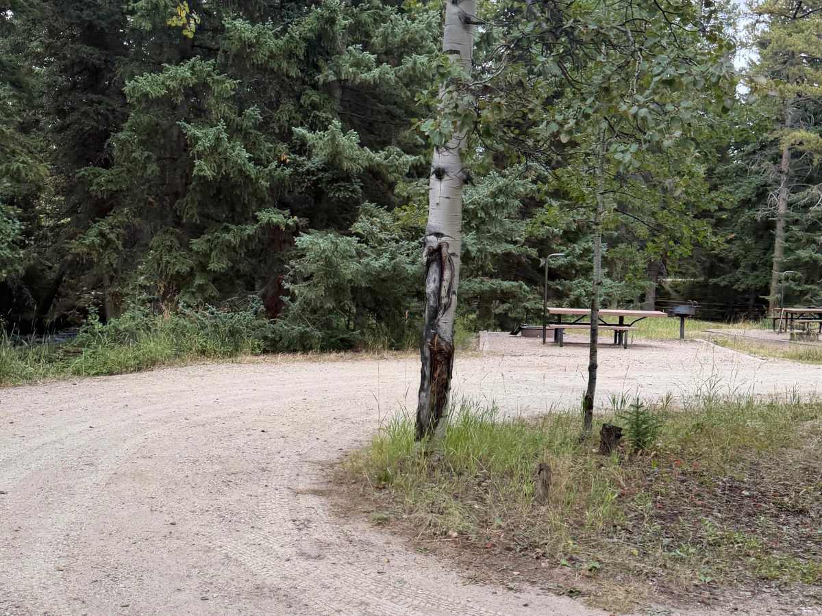 Middle Fork Campground Road photo 4