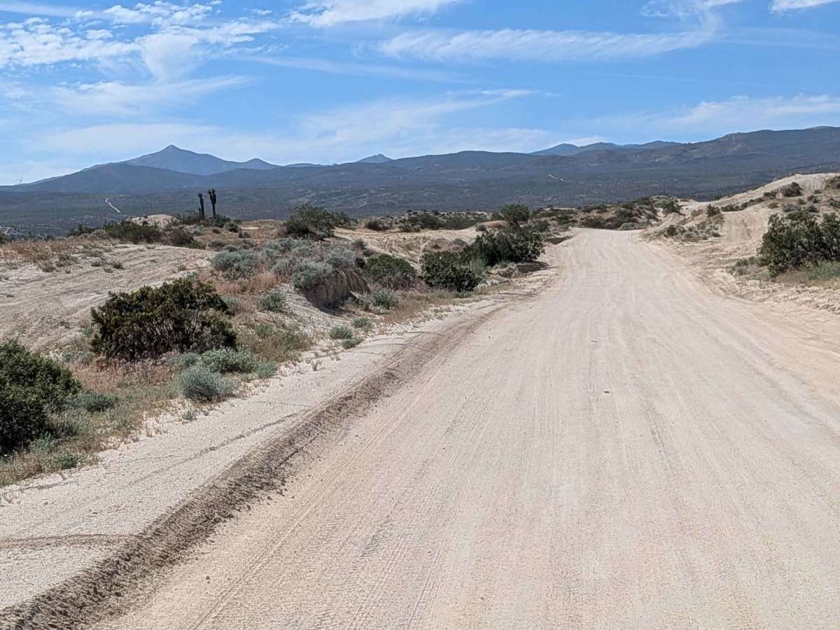 McIvers South Trailhead trail photo