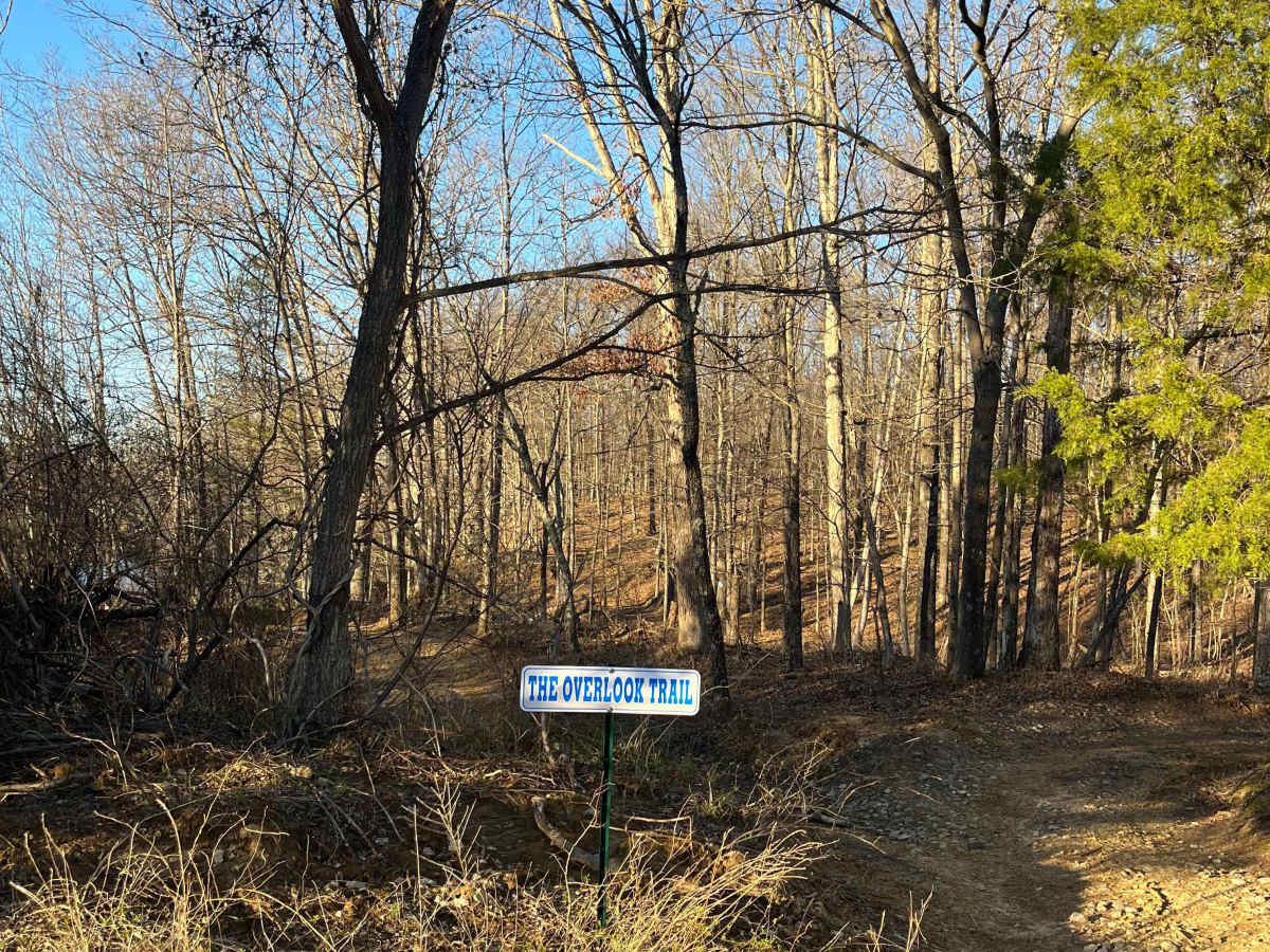 Overlook Trail trail photo