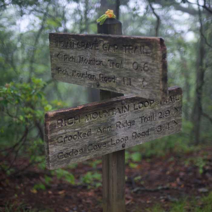 Near Indian Grave Gap Trail