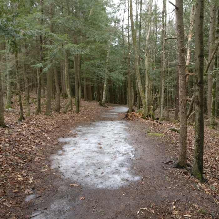 Somewhat icy East Loop Near Park Loop