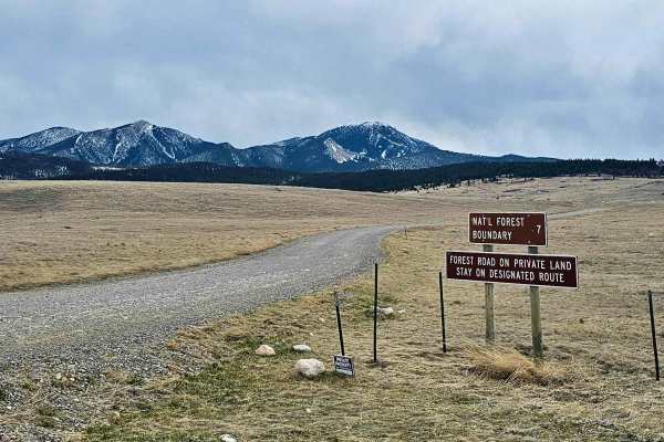 Livingston Peak Road
