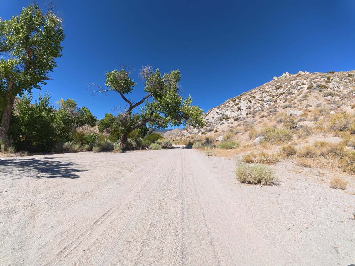 Cottonwood Creek Road photo 3