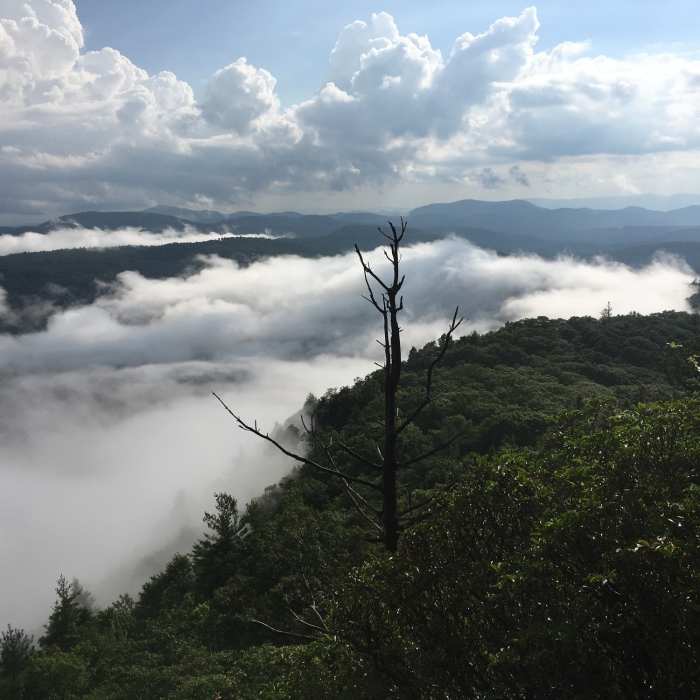 Near Whiteside Mountain