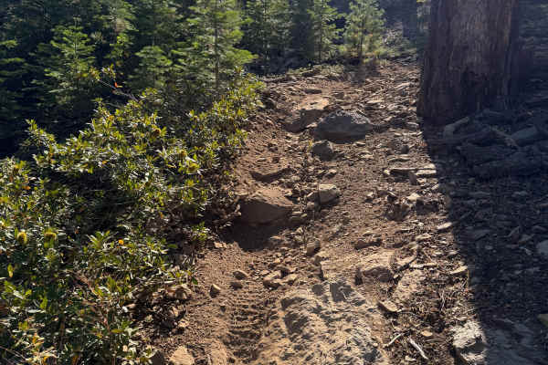 06 Moto Trail