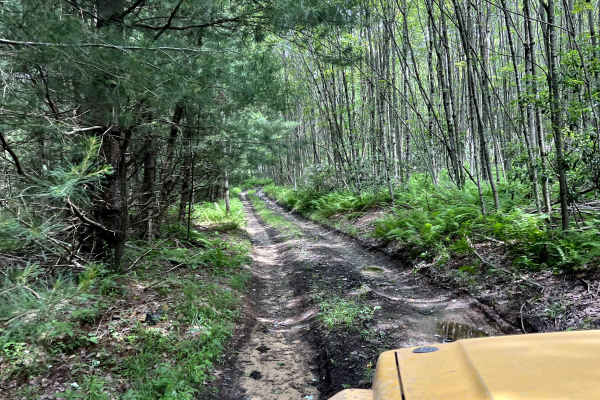 Smith's Run Trail