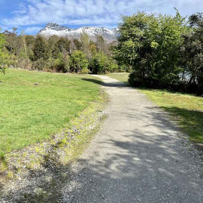 Near Bob's Cove to Picnic Point Track