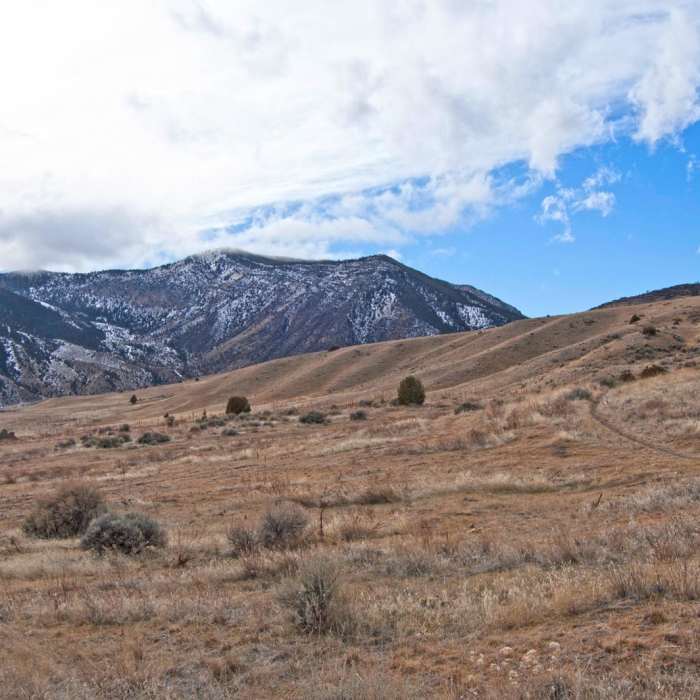 Near Middle View Trail