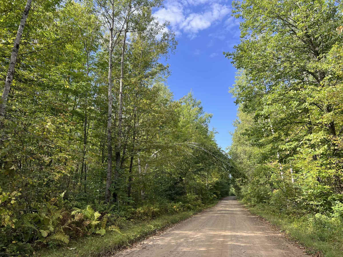 Knowles Creek Road - FS 2349 photo 6