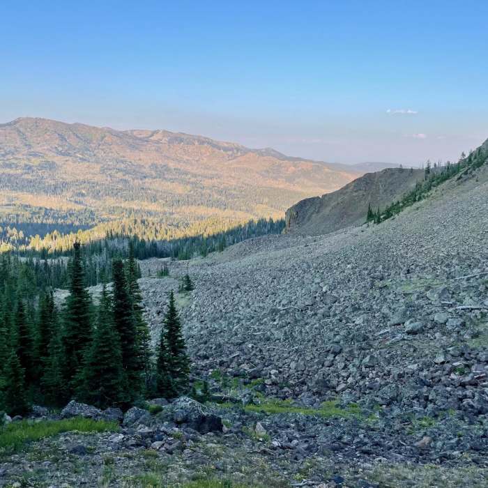 Near Continental Divide Trail: Montana-Idaho Section 4