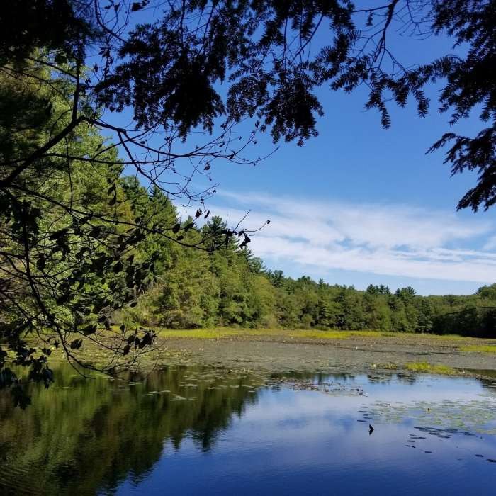 Near Eight Mile Tour