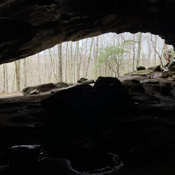Peering out from Icebox Cave. Near Bluff Trail