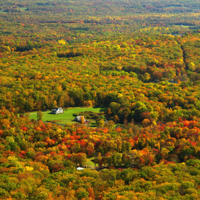 SE View from Catfish Fire Tower - 1565 ft. with permission from Jean Drescher Near Rattlesnake Swamp - AT Loop