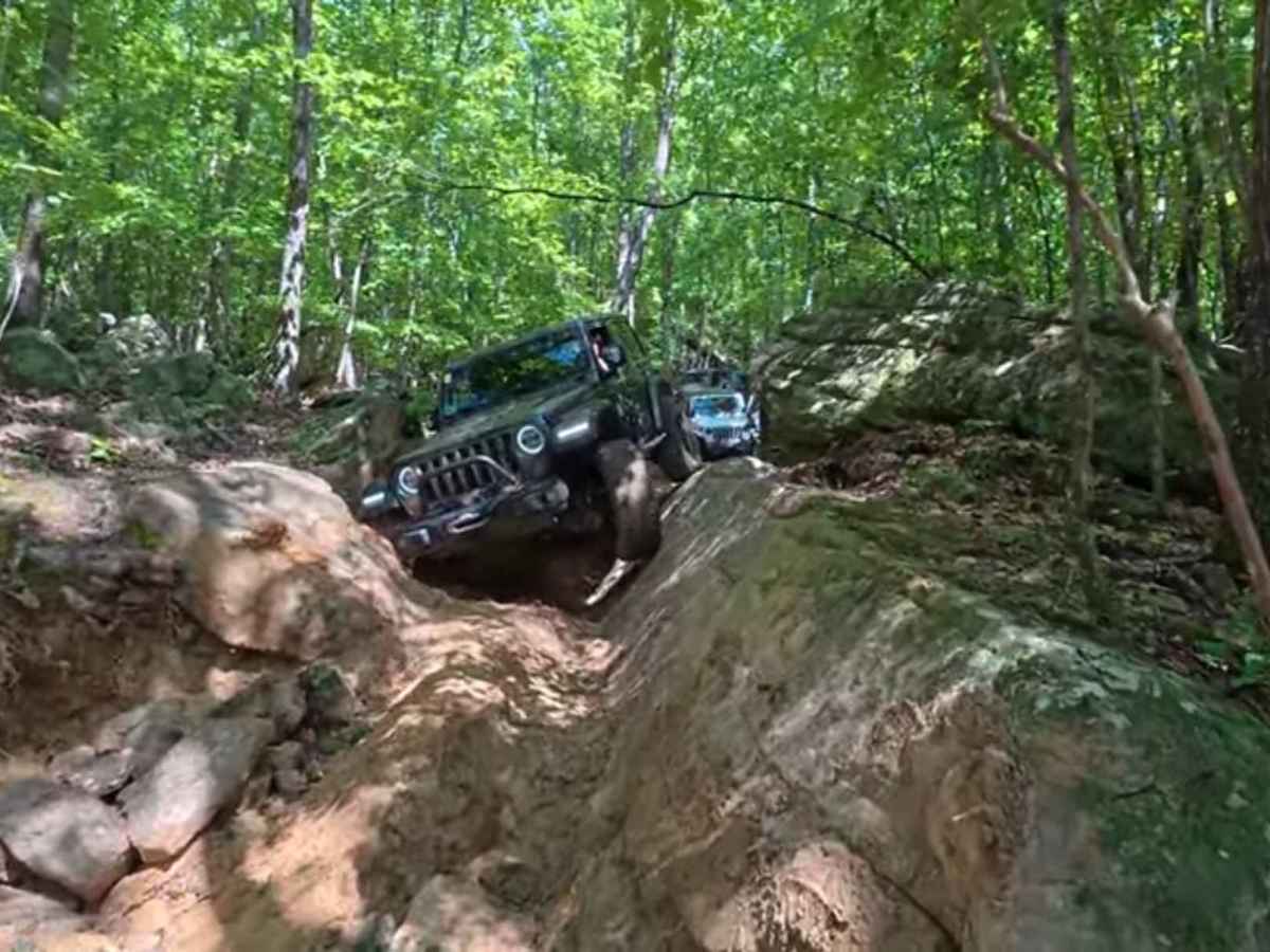 #113 Uphill Both Ways trail photo