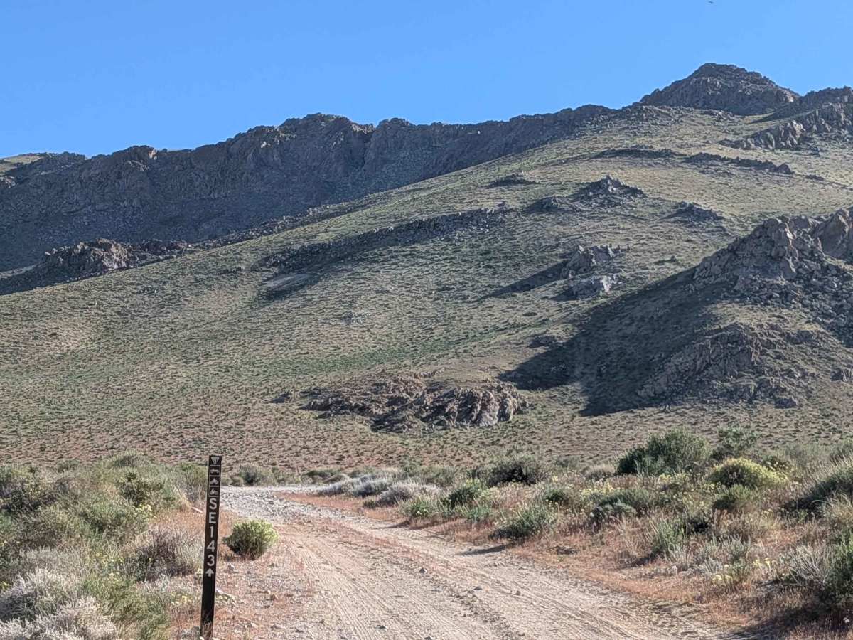 BLM SE143 photo 6