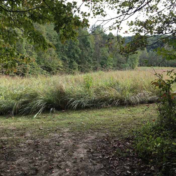 Near Prairie Warbler Trail
