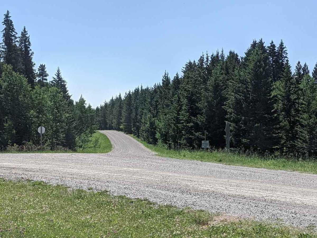 Skyline Loop photo 3