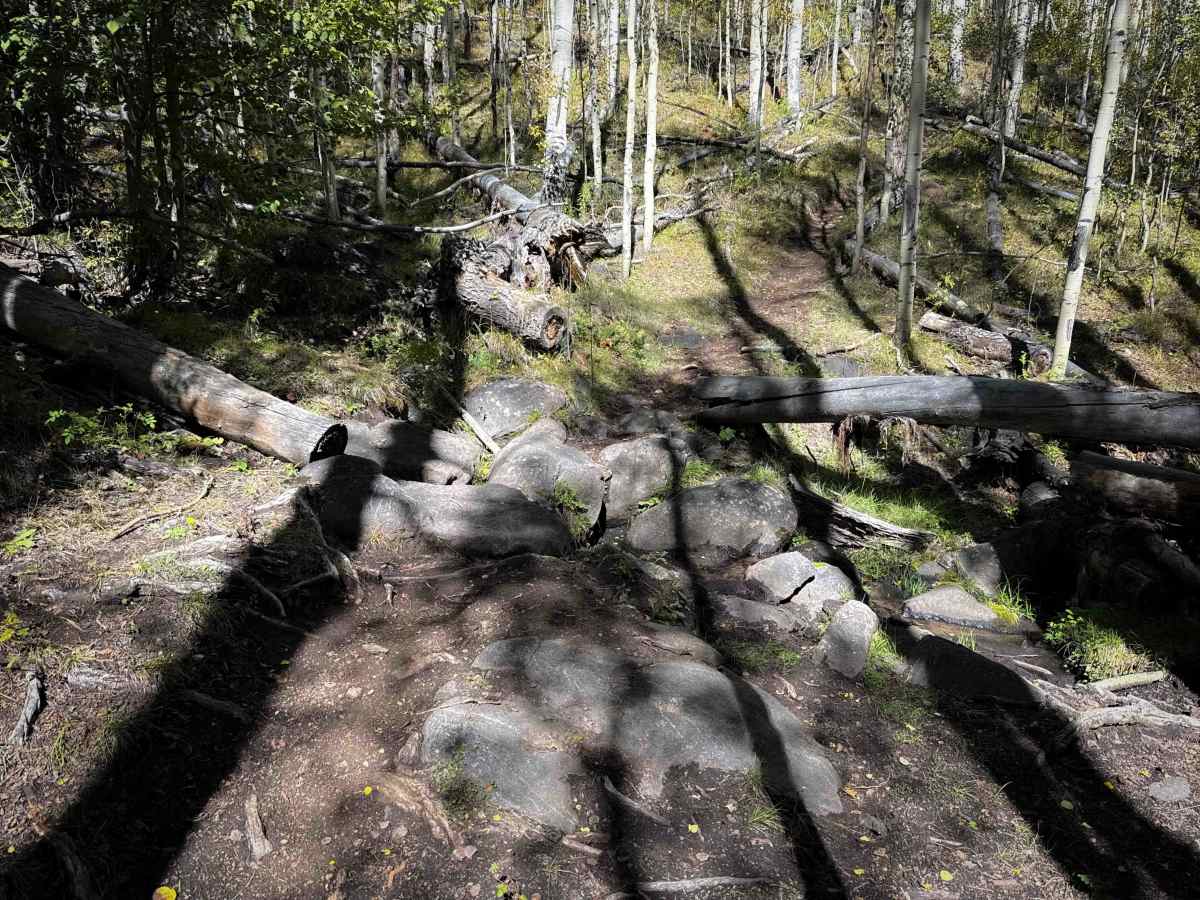 Bear Gulch Trail - FS 610  photo 6