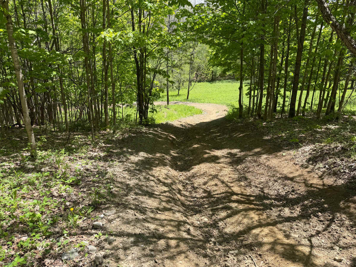 Grower Green Trail East - 2 photo 3