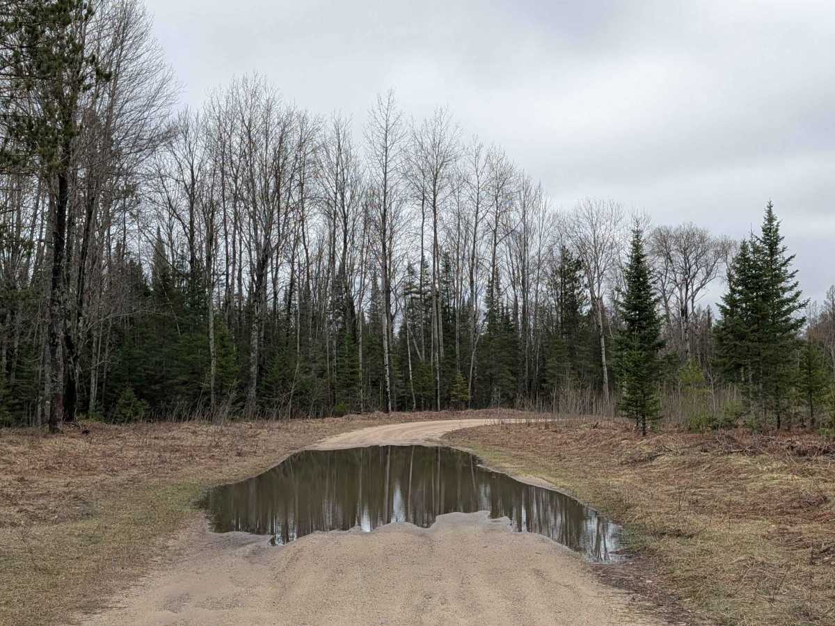 Manistee River Road Southeast photo 5