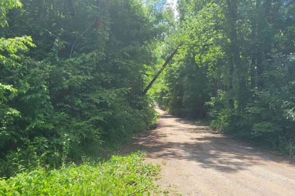Ladd Springs Road (221)