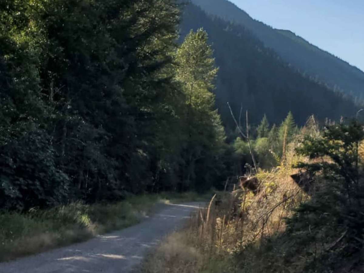 River Road trail photo
