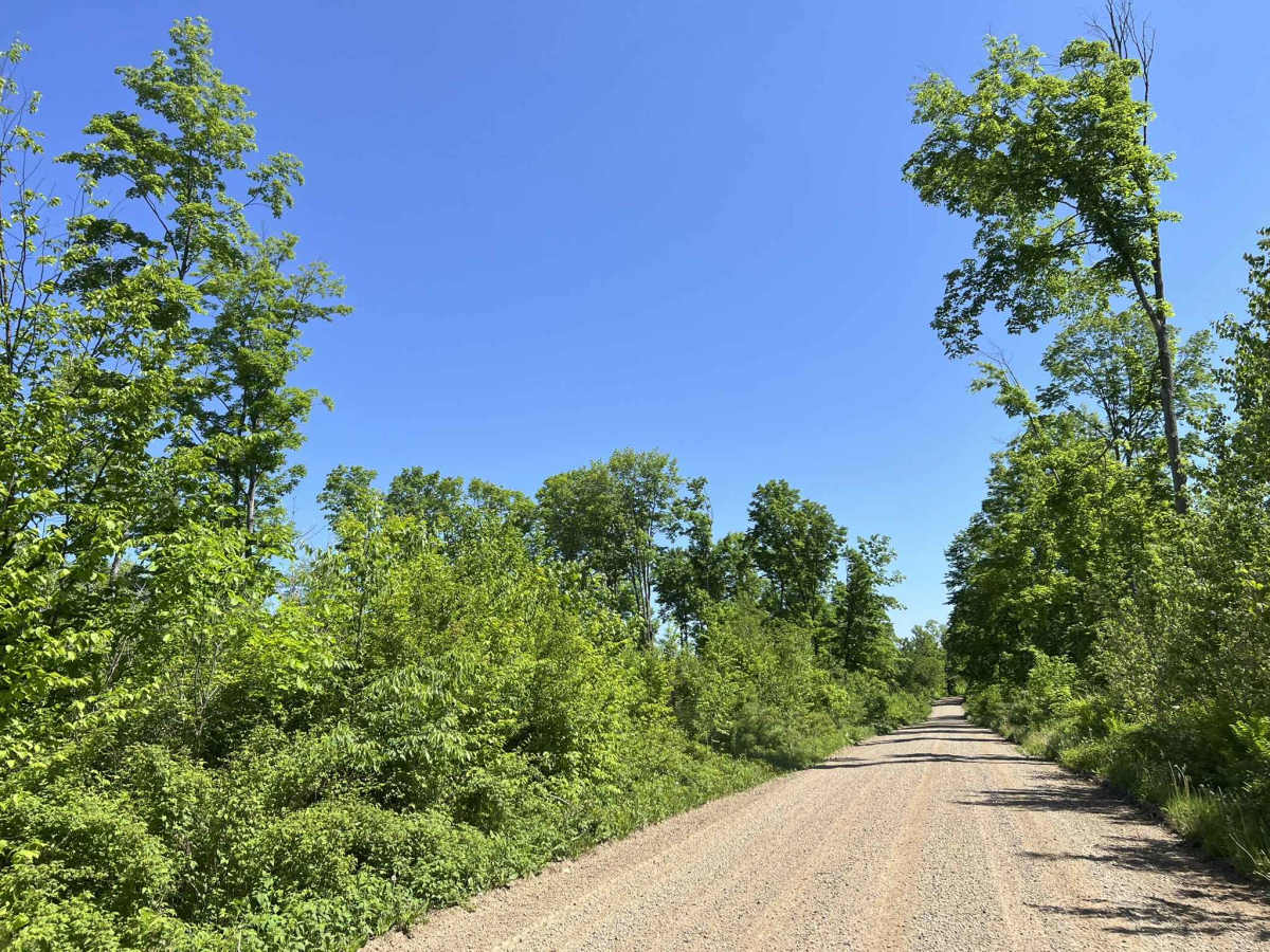Diamond Roof Road - FS 2123 photo 6