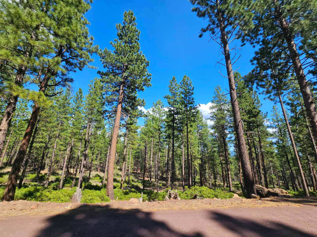 Besson Camp Road photo 2