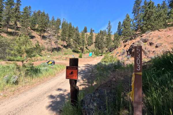 Powerline Road - FS 5303