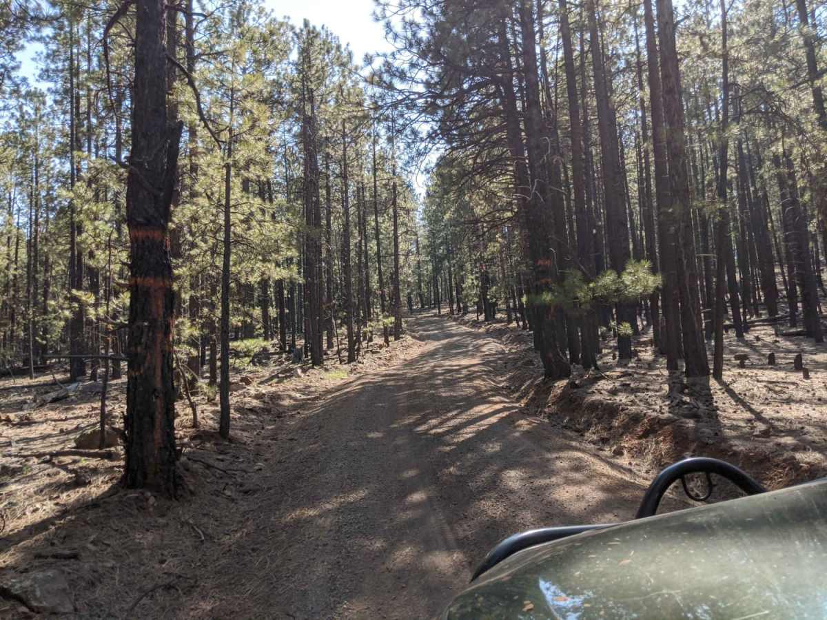 Wind Mountain Trail #410 photo 3