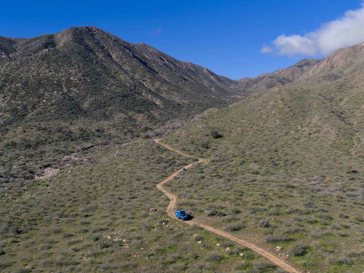 Reno Pass - FS 524 trail photo