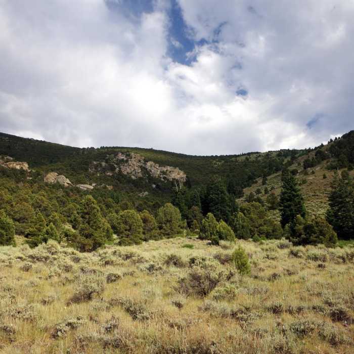 Near Pole Canyon Trail