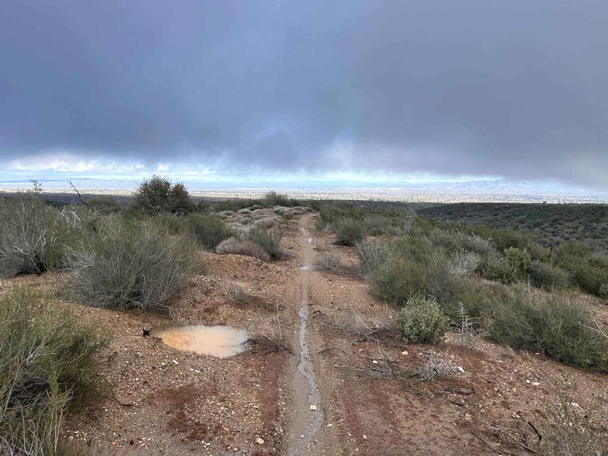 Mission Ridge trail photo