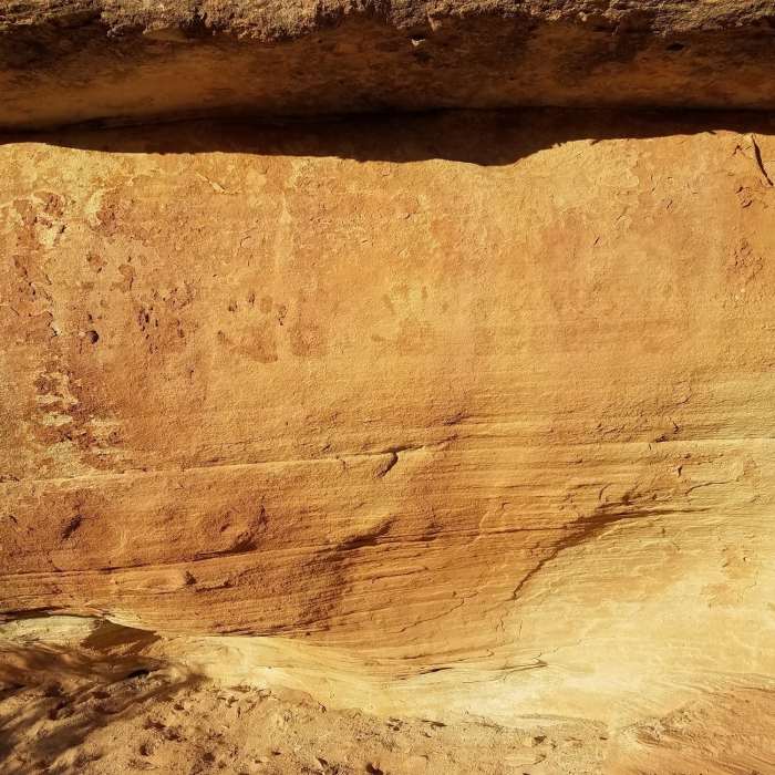 Near McDonald Creek Trail